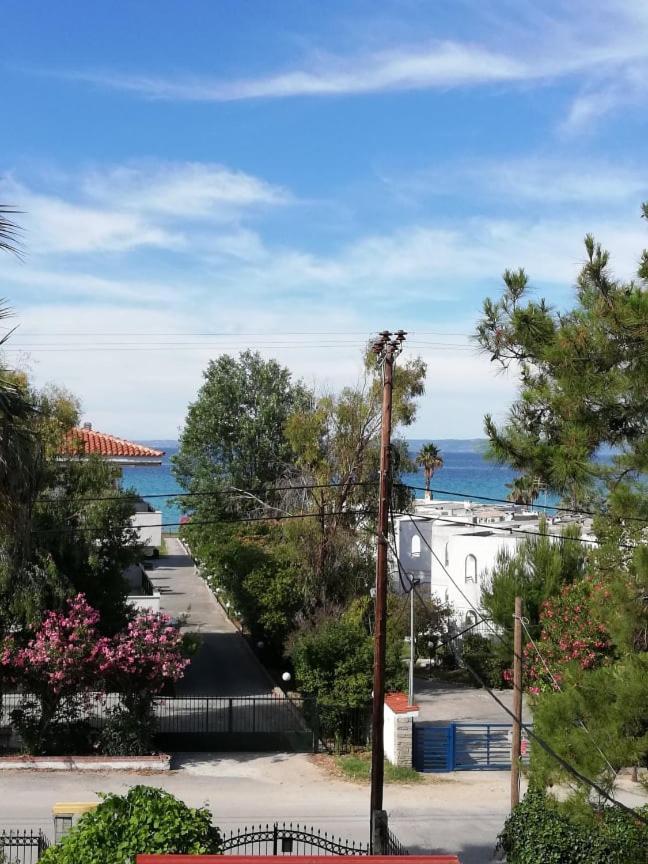 Villa Christina Sea Side A ハニオティス エクステリア 写真