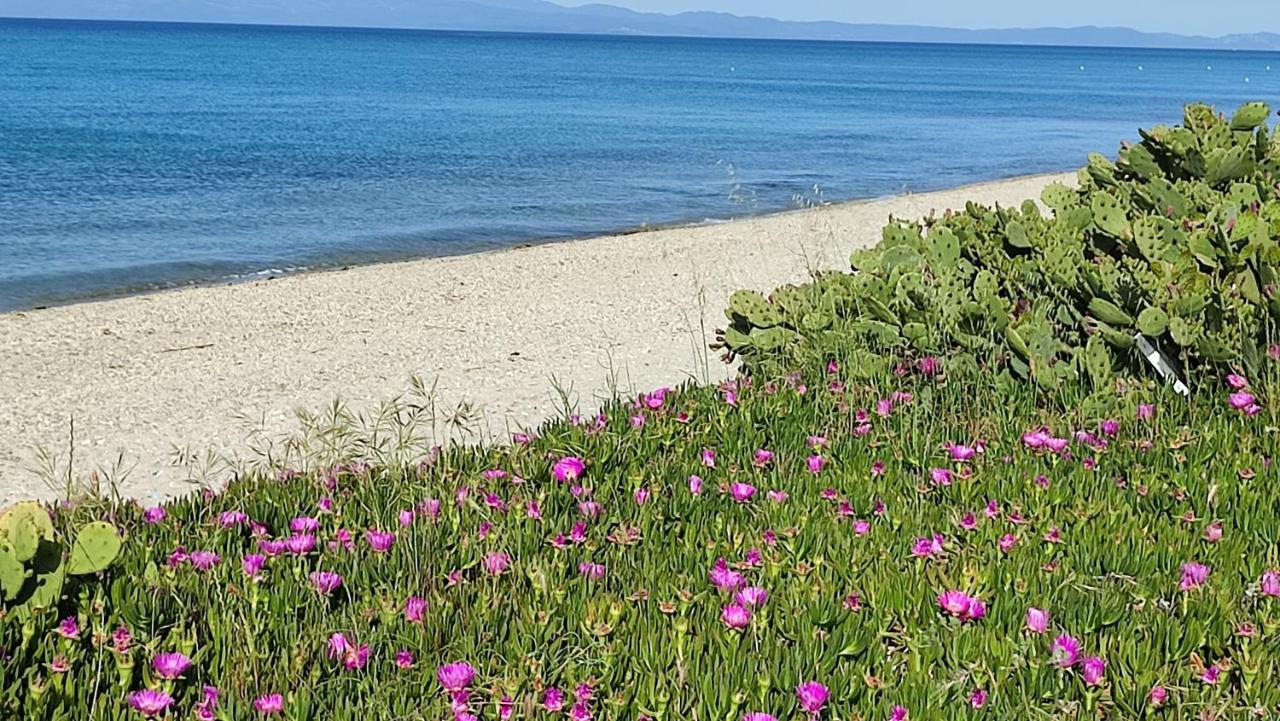Villa Christina Sea Side A ハニオティス エクステリア 写真